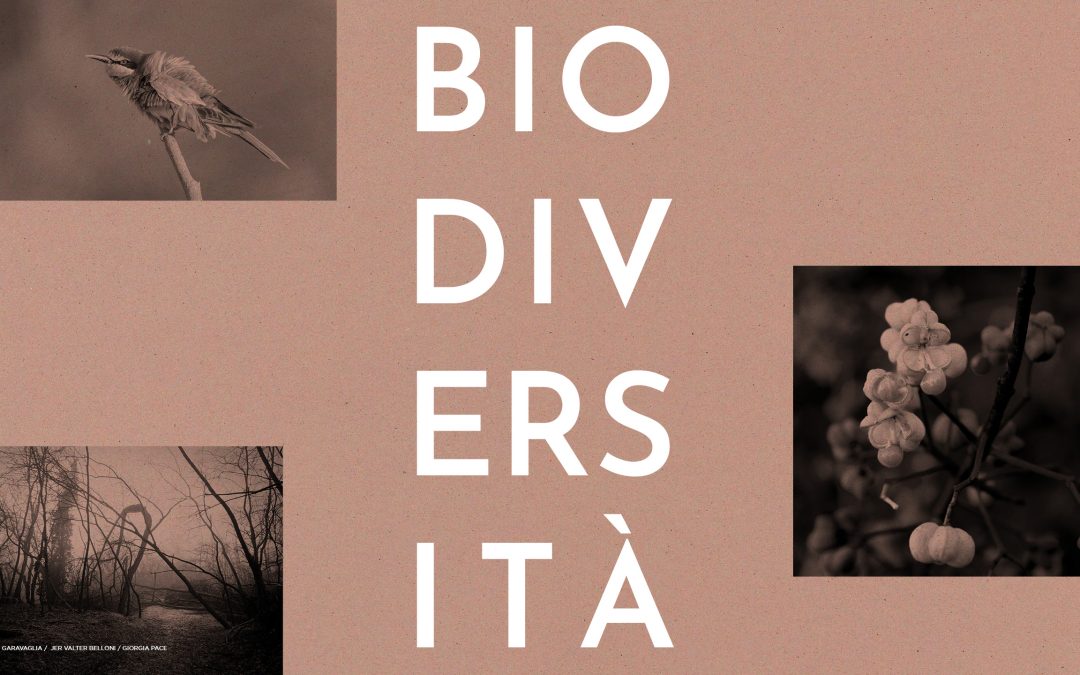 Mostra collettiva “Biodiversità: il motore della vita”