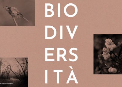 Mostra collettiva “Biodiversità: il motore della vita”