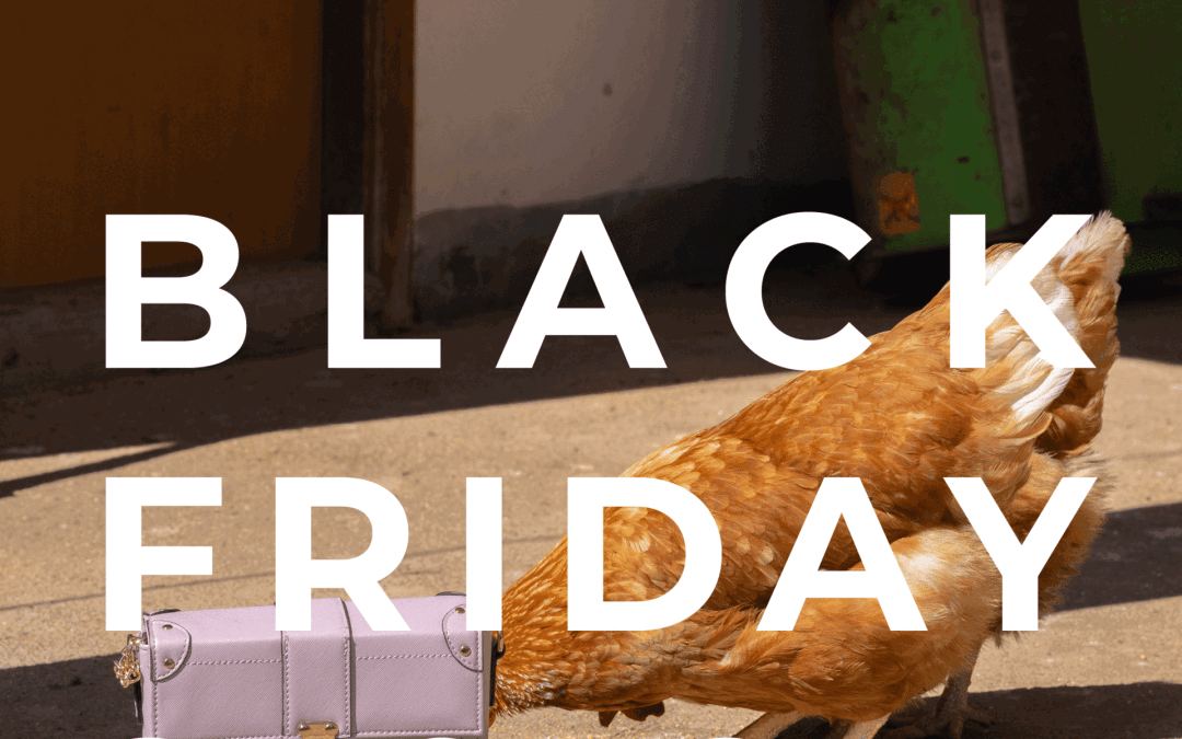 Black Friday 2024 IIF: 15% di sconto su workshop e corsi topic di fotografia